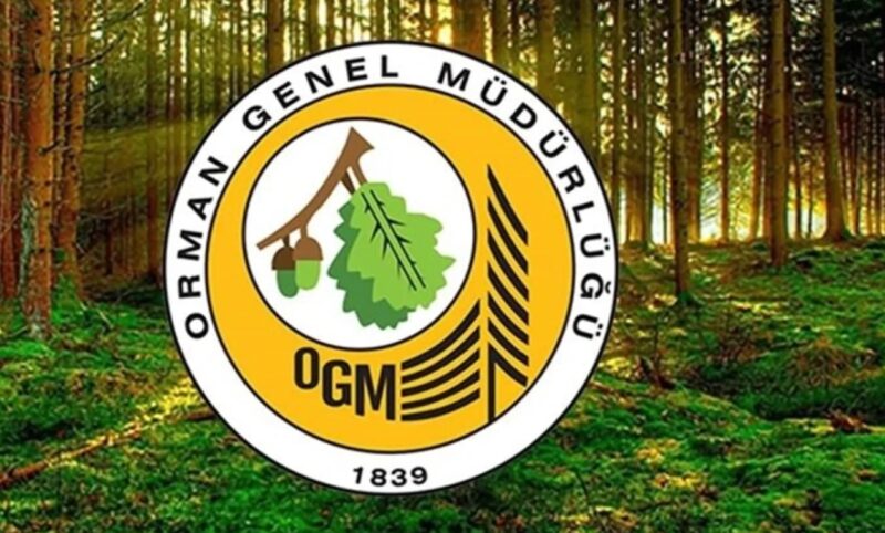 Orman Genel Müdürlüğü 262 daimi işçi alacak