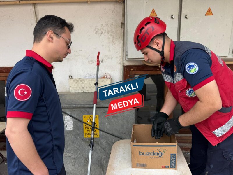 Elektrik trafosunun arkasında mahsur kalan yavru kedileri İtfaiye ekipleri kurtardı