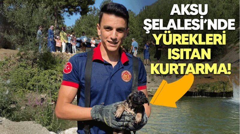 Bu Kez de Suya Düşen Yavru Köpeği Kurtardılar