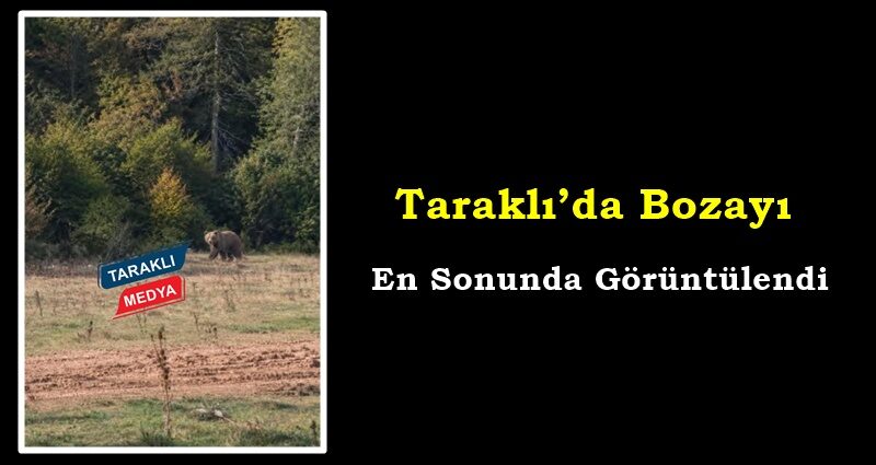 Taraklı’da Bozayı en sonunda görüntülendi!